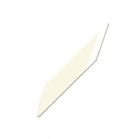 CS02 Ceramic Scraper Refill (1pc)