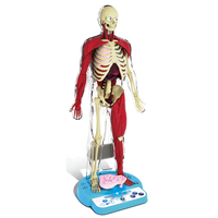 Ultimate Squishy Human Body Lab With Smart Scan Technology