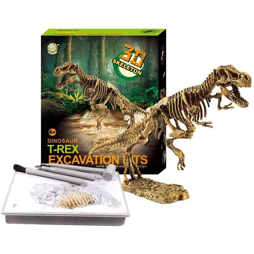 Dinosaur Excavation T-Rex Skeleton