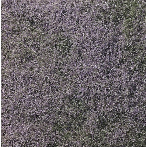 Flowering Foliage Purple wds-f177