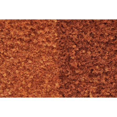 Fall Foliage Late Fall wds-f56