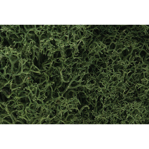 Lichen Medium Green 1.5 Quarts wds-l163