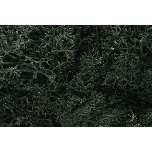Lichen Dark Green 1.5 Quarts wds-l164