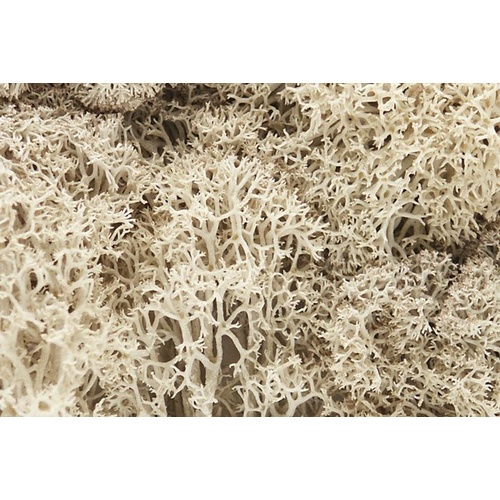 Lichen Natural 1.5 Quarts wds-l166