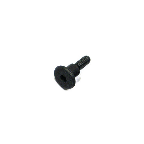 GT245 - CY / RC 54mm Clutch Shoe Mount Bolt (9mm diameter)