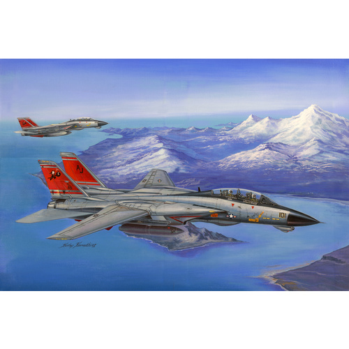 1/48 Hobby Boss F-14D Super Tomcat HB80368